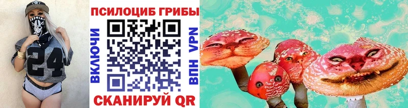 OMG рабочий сайт  наркошоп  Якутск  Псилоцибиновые грибы мицелий 